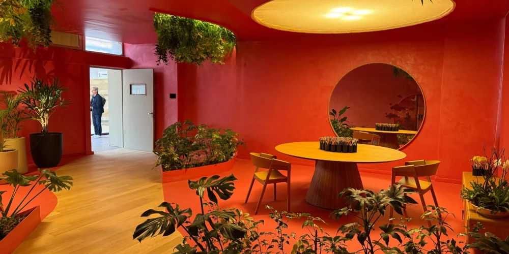Vista general de Playroom en Casa FOA Córdoba 2025, un espacio lúdico diseñado por Proyeco.