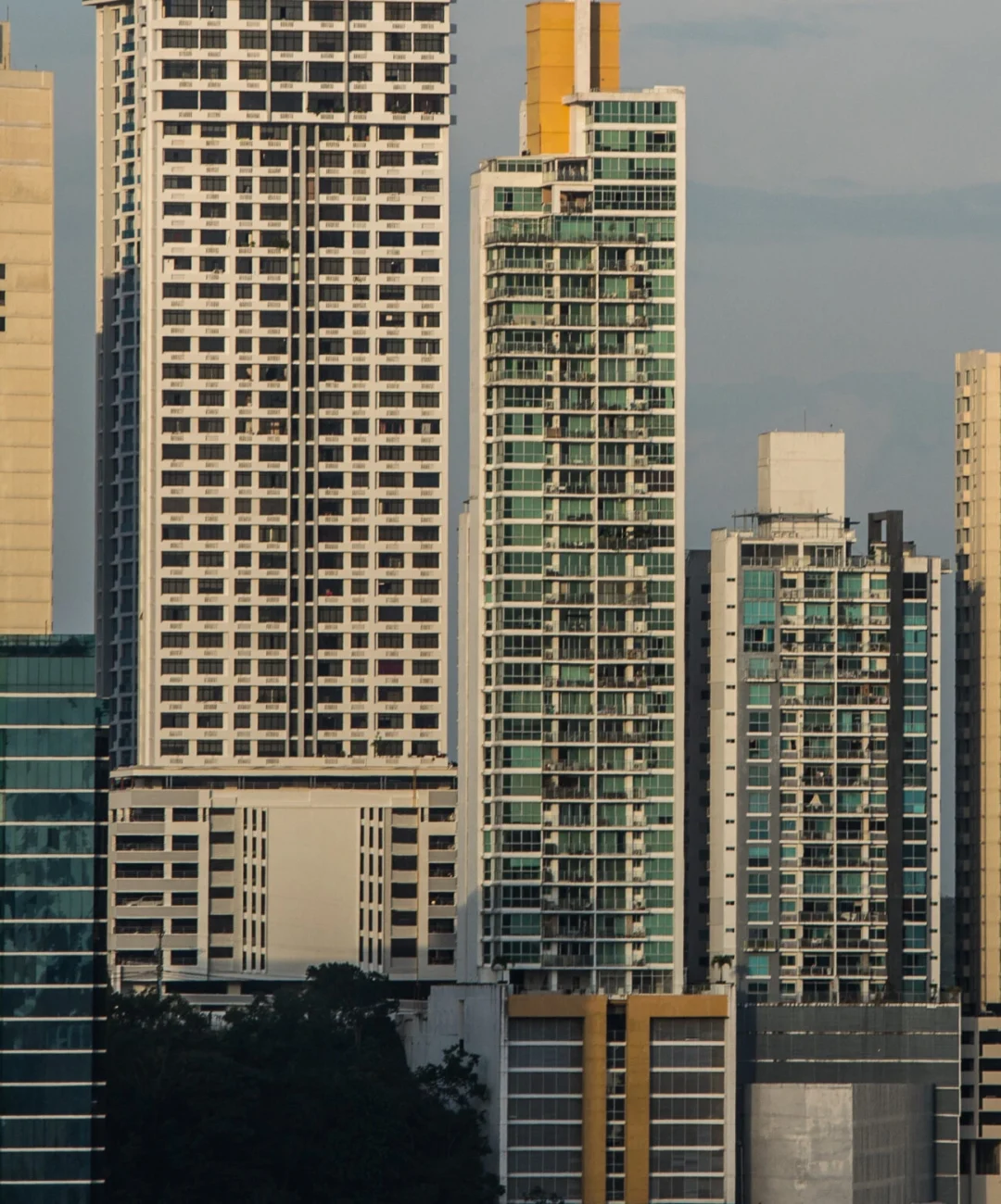 Gestión técnica de proyectos - Proyeco asesoramiento continuo